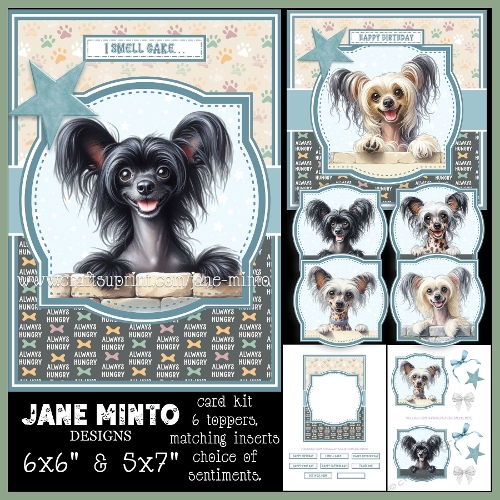 PEEKABOO DOGS - CHINESE CRESTED DOG - request