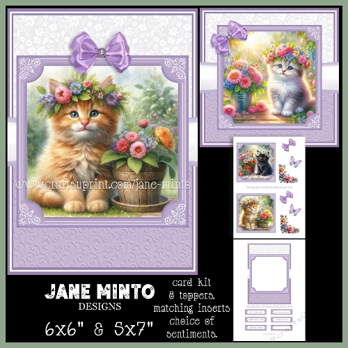 CUTE KITTENS 6X6 5X7