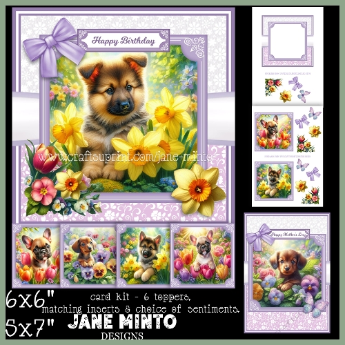 SPRING PUPPIES 5x7 6x6