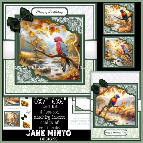 cup1437549_57683 - AUTUMN PARROTS 6x6 5x7
