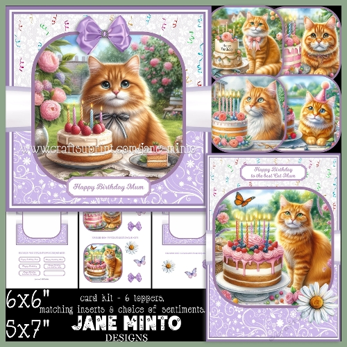 GINGER BIRTHDAY 5x7 6x6