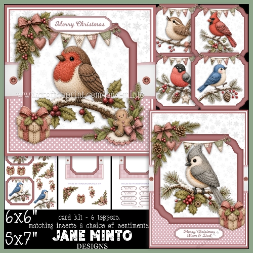 WOODLAND BIRDS AT CHRISTMAS
