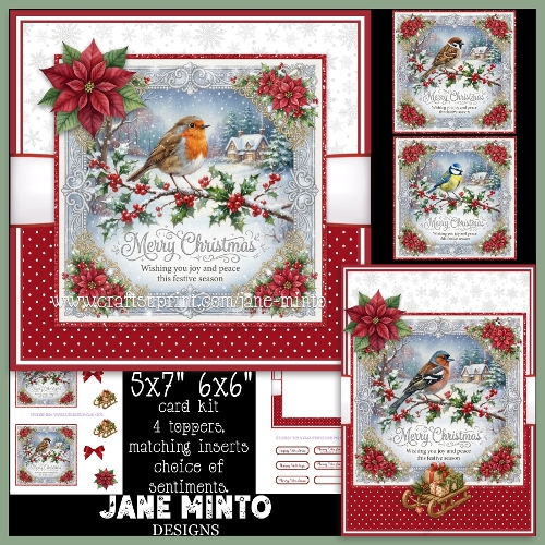 CHRISTMAS HOLLY BIRDS