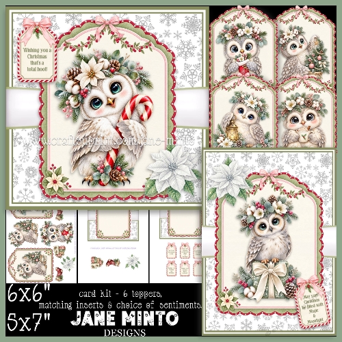THE CHRISTMAS OWL