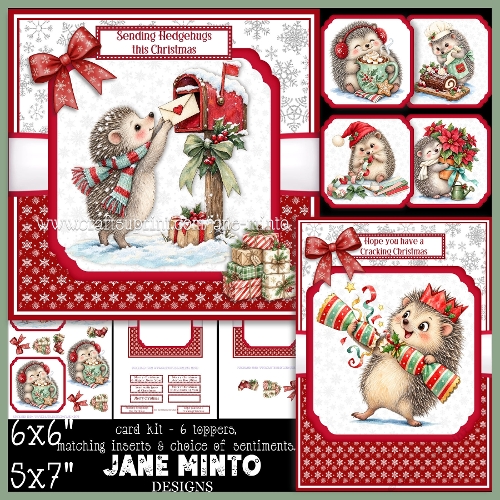 CHRISTMAS HEDGEHOG