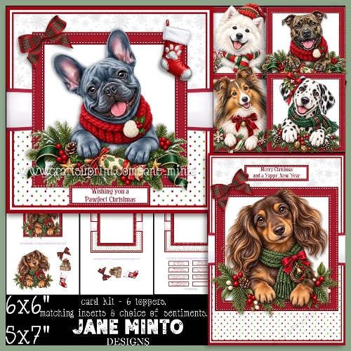 PAWFECT CHRISTMAS SET 2
