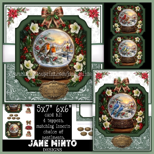WINTER SNOW GLOBES