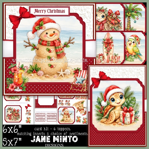 SUNNY CHRISTMAS
