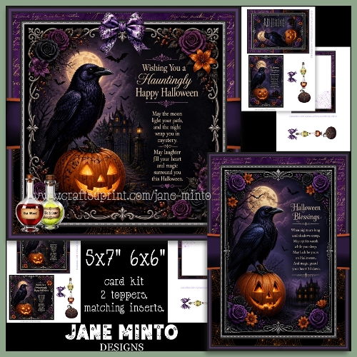 HALLOWEEN RAVEN