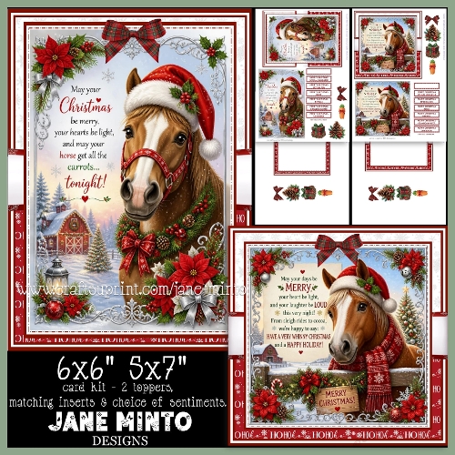 CHRISTMAS HORSE