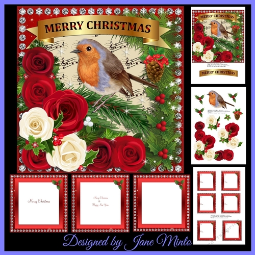 ROBIN & CHRISTMAS ROSES MINI KIT