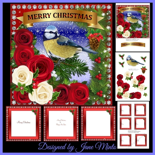 CHRISTMAS BLUE TIT MINI KIT