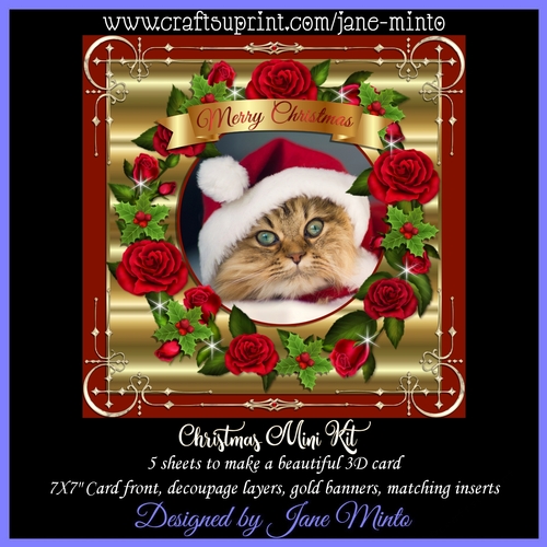 CHRISTMAS MINI KIT - CAT IN THE HAT 