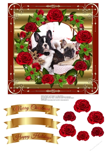 FRENCH BULLDOG PUPPIES 