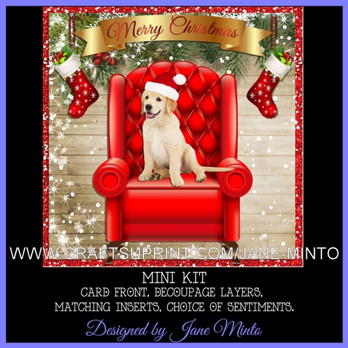 CHRISTMAS PUPPY