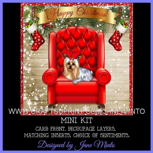 YORKIE AT CHRISTMAS