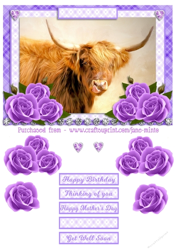 HIGHLAND COW & ROSES