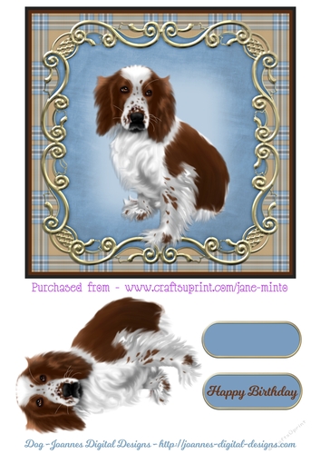 WELSH SPRINGER SPANIEL quick card sheet