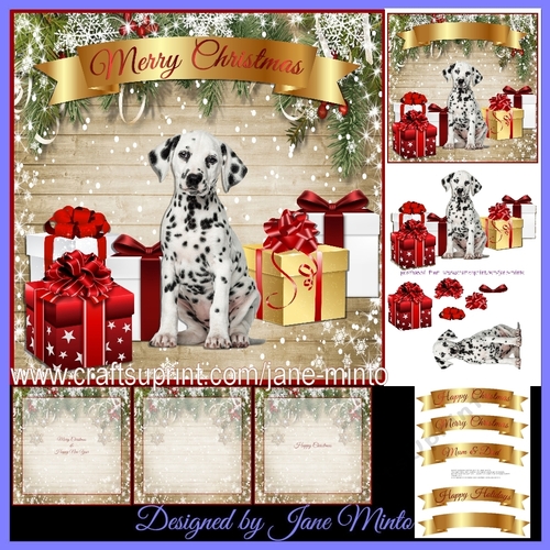 DALMATIAN PUPPY 