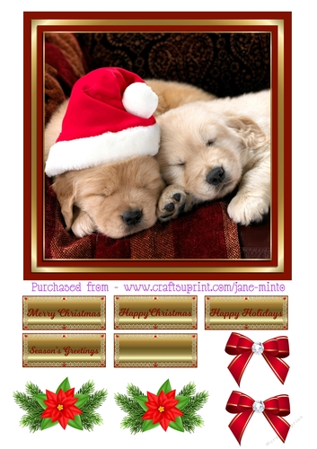 CHRISTMAS PUPPIES 2
