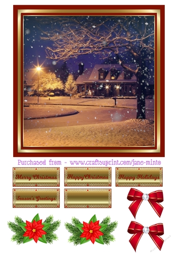 WINTER STREET