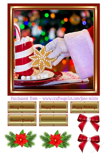 SANTA & COOKIES