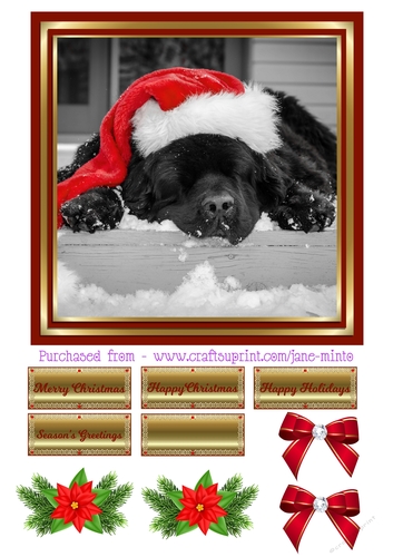 SLEEPING DOG AT CHRISTMASTIME