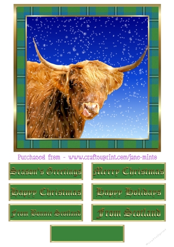 CHRISTMAS HIGHLAND COW 1