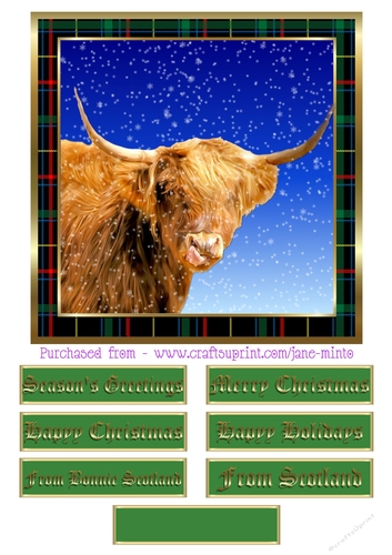 CHRISTMAS HIGHLAND COW 2