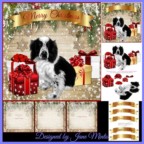 BLACK SPANIEL 