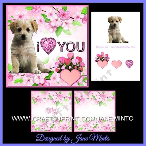 PUPPY I LOVE YOU VALENTINES MINI KIT