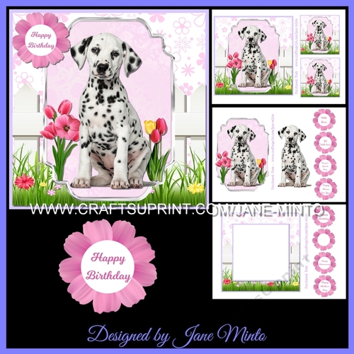 DALMATIAN PUPPY