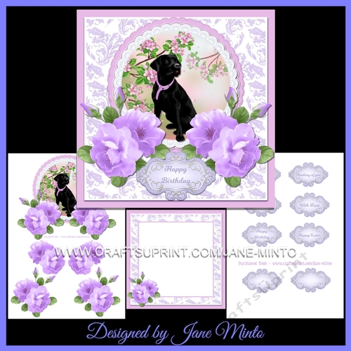 LABRADOR & LILAC FLOWERS MINI KIT