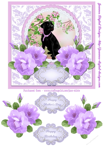 LABRADOR & LILAC FLOWERS 