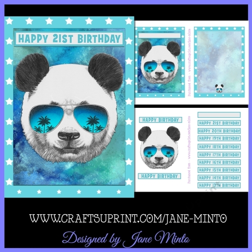 COOL PANDA MINI KIT 5x7