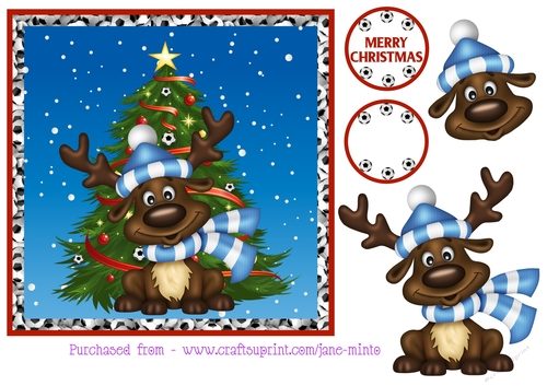 MANCHESTER CITY FOOTBALL REINDEER