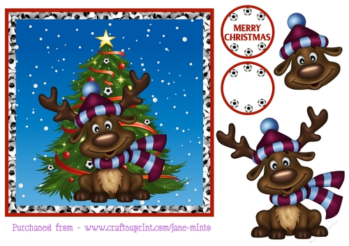 ASTON VILLA FOOTBALL REINDEER 