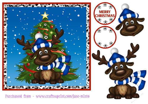 LEICESTER CITY FOOTBALL REINDEER