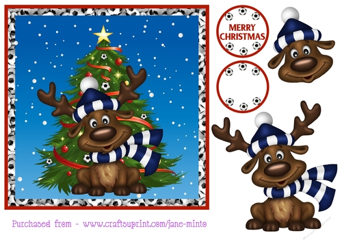 EVERTON FOOTBALL REINDEER 