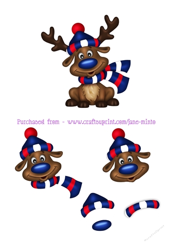 FOOTBALL FAN REINDEER sheet 7