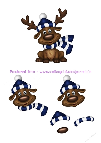 FOOTBALL FAN REINDEER sheet 10