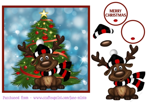 AUSTRALIAN FOOTBALL FAN REINDEER sheet 9