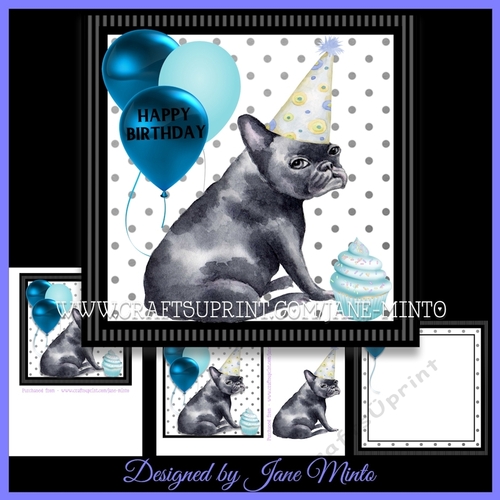 FRENCH BULLDOG MINI KIT 3