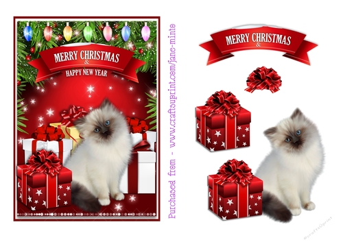 CHRISTMAS KITTEN