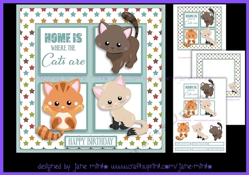 HOME IS WHERE THE CATS ARE