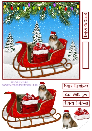 COLLIE ON THE SLEIGH