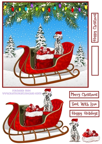 DALMATIAN ON THE SLEIGH