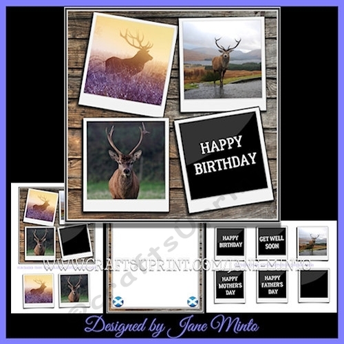 HIGHLAND DEER