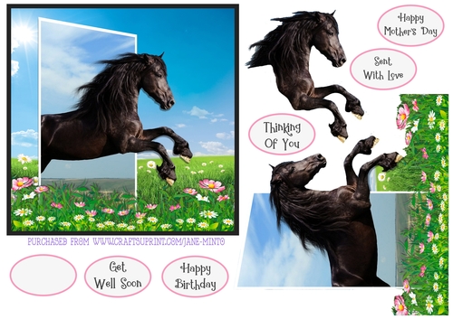 3D BLACK BEAUTY 6X6