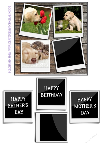 PUPPY LOVE 6X6